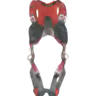 เข็มขัดเซฟตี้เต็มตัว,เข็มขัดนิรภัยเต็มตัว,FOCUS VEST 2515